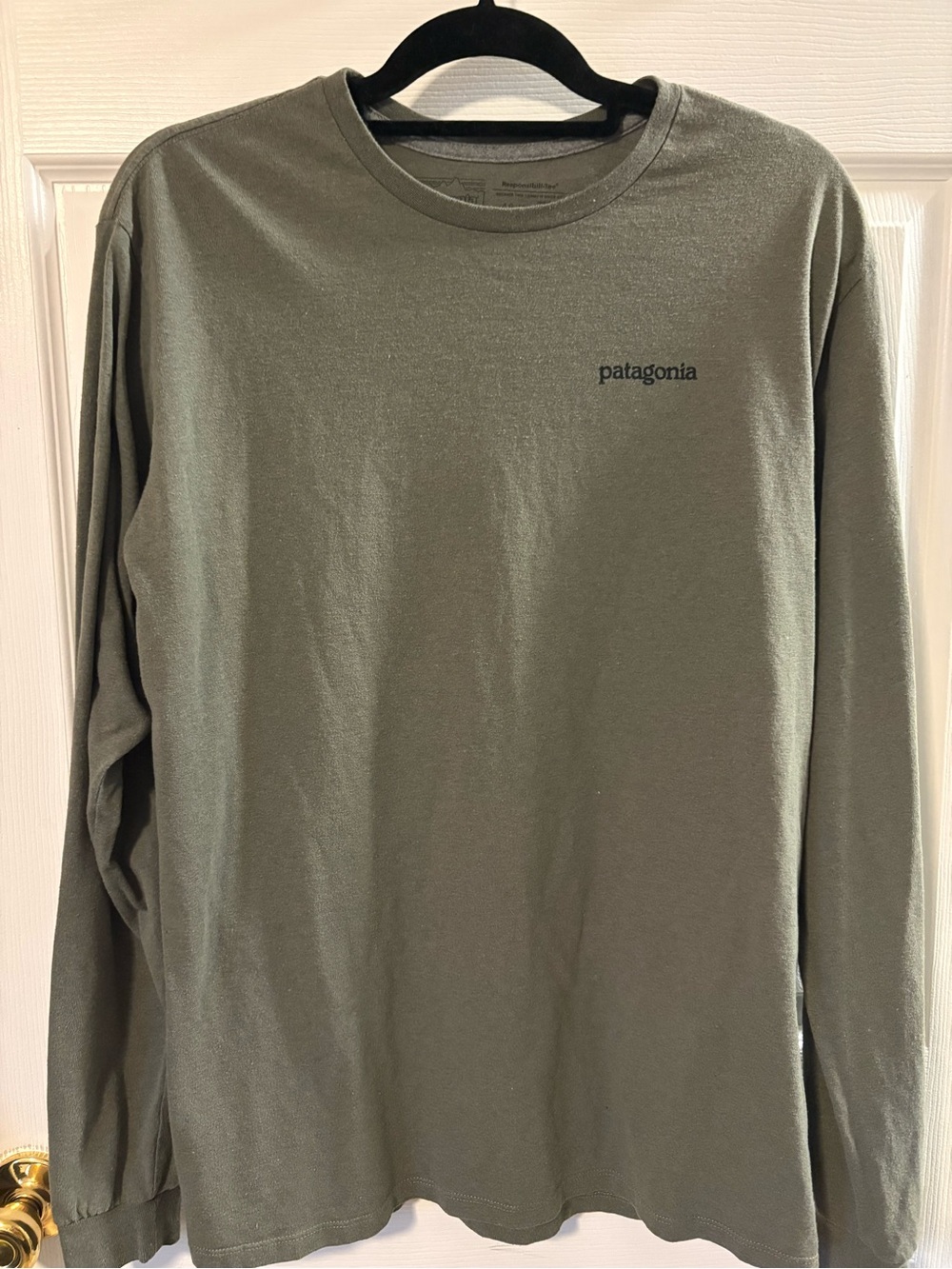 Patagonia Men's Long-Sleeve Crew Tee - Olive